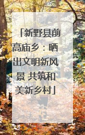 新野县前高庙乡：晒出文明新风景 共筑和美新乡村